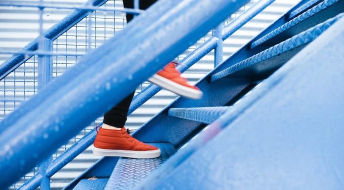 Fitness na kursie wzrostowym