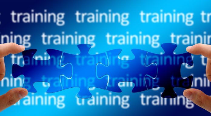 Program treningowy, a prawo autorskie